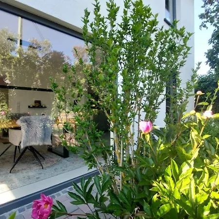 Adenauer Zwölf - 5 Sterne Mit Sauna Und Garten Am Eifelsteig *