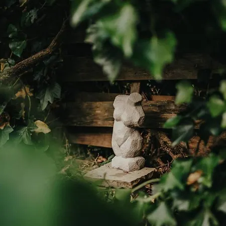 Adenauer Zwoelf - 5 Sterne Mit Sauna Und Garten Am Eifelsteig Holiday home Kerpen (Rhineland-Palatinate)